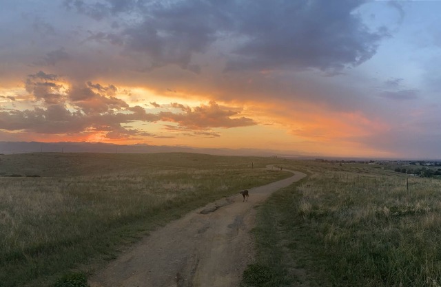 Mtn view cul de sac property backing to 10,000 acres of hiking/biking trails