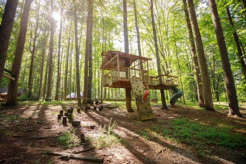 Multiple cabins at Cabin Fever