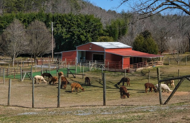 *MUST SEE* Cobb Creek Cabins at the Historic Cobb Family Estate