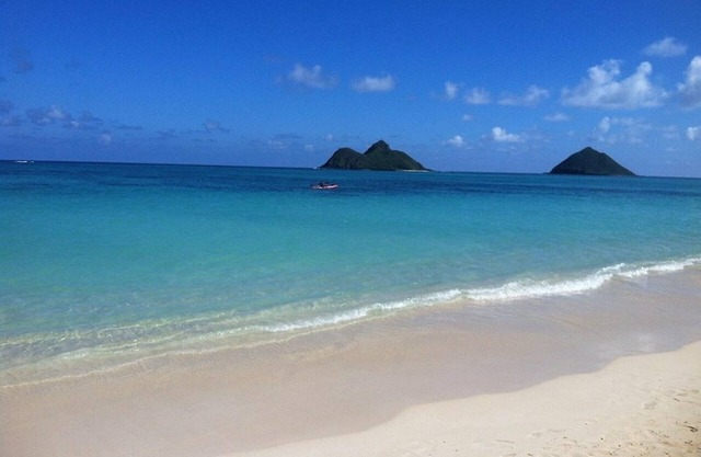 New Listing! Beautiful Newer Luxury Home Centrally Located