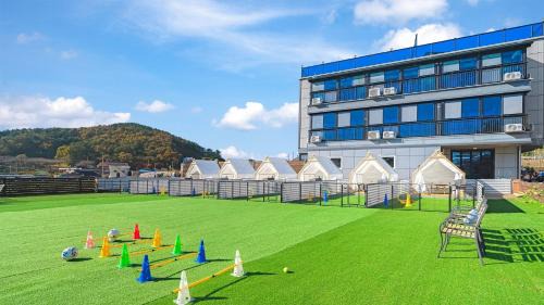 Namhae Dangdangi Dog Pension Blue