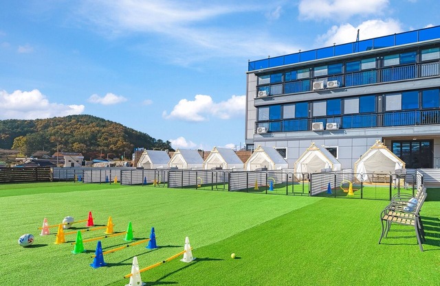 Namhae Dangdangi Dog Pension Blue