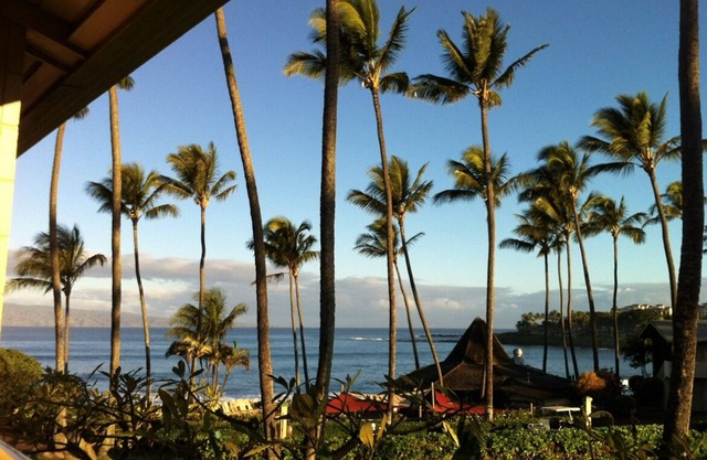 Napili Shores H262 - March 2025 Dates at $250/night!