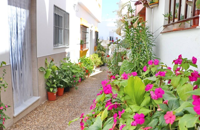 Nardo studio in the center of Conil