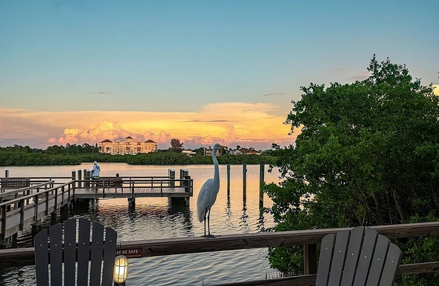 Nature Escape! 2 Great Units w/Kitchens, Golf, Outdoor Fireplace