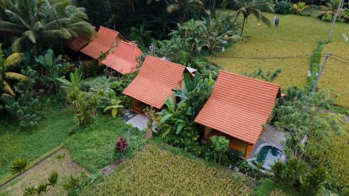 Nava Prana Villas by Pramana Villas