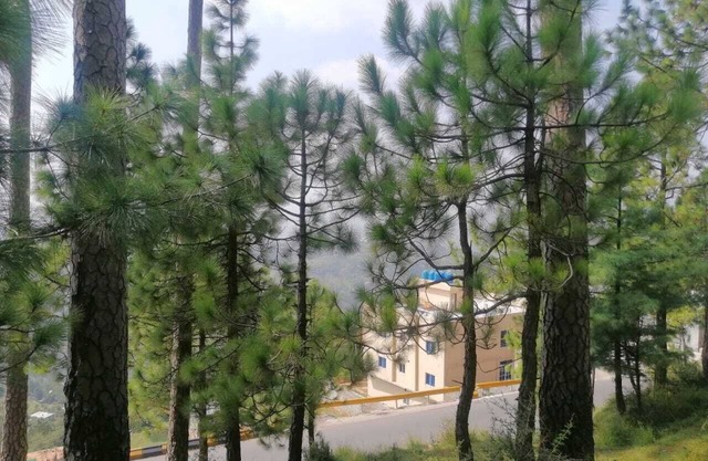 Navid's Holiday Resort & Hotel is Ideal and Economical Holiday Destination.