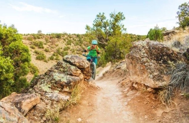 NEW! Cedar Mountain Bunkhouse