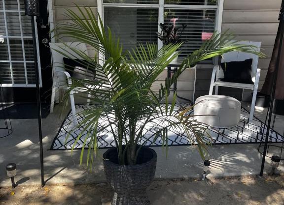 New Cozy 1 Califonia King Size Bed with Small sitting Area & Private Bathroom wit Private Entrance! With Free Parking outside Unit! 45 mins away from Airport!