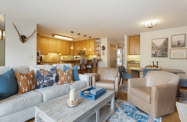 New Listing! No Car Needed - On Free Town of Vail Bus Route, Walk to Village & Lionshead - Mtn Views