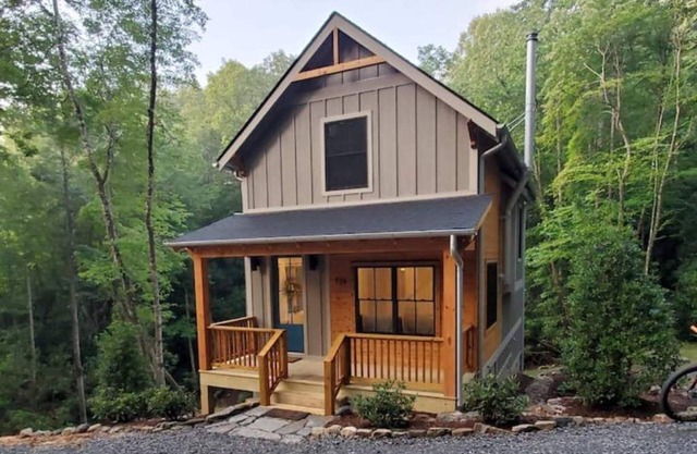 NEW mountain cottage between Dupont and Pisgah!