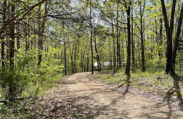 New!No cleaning fee! Pvt. Ozark Home @Roaring River Park. Near Eureka Springs AR