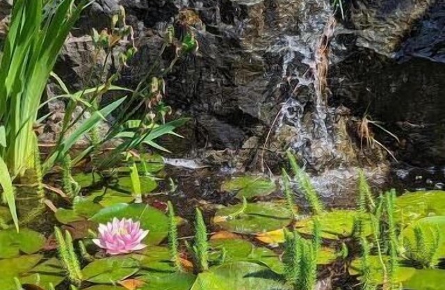 New on Vrbo -nPrivate Garden Suite - Free car charger