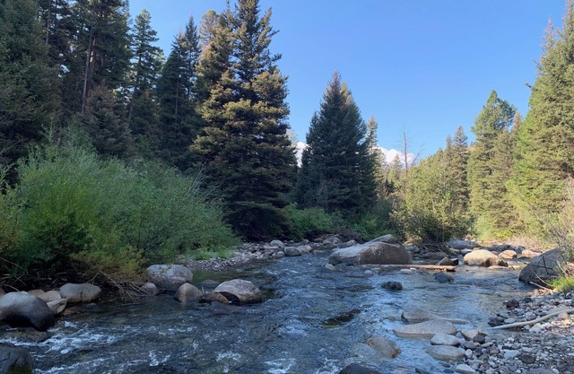 NEW! Private~Treed Acreage On Bear Creek~3 Living Rooms~5 Miles to YellowstoneNP