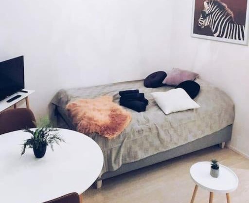 New Studio Zebra near Airport