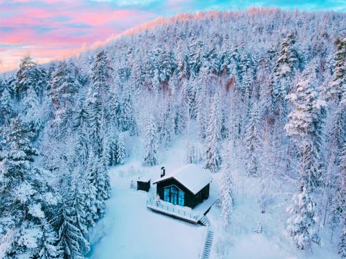 Newly built cabin with sauna, fireplace and amazing view
