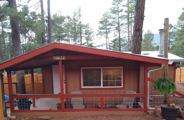 Newly remodeled cabin in the pines w/firepit, redwood fenced yard, close hiking