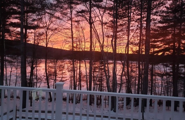Newly renovated Dog-friendly Lakefront Getaway with Fenced in back yard