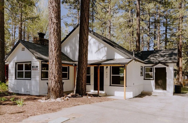 NEWLY RENOVATED Pet Friendly Home