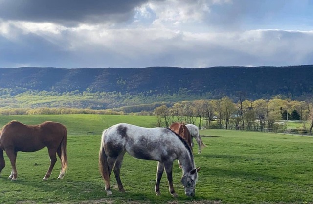 Newville, Pennsylvania - Horse Farm Campsite