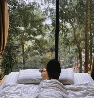 Nhà Gỗ Rừng Thông