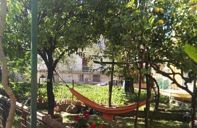 Nice apartment located 250 meters from the center, a few steps from services and