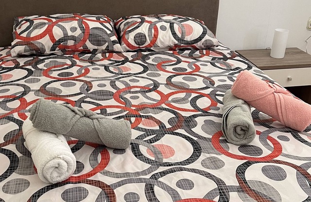 Nice,sunny and comfortable apartment.