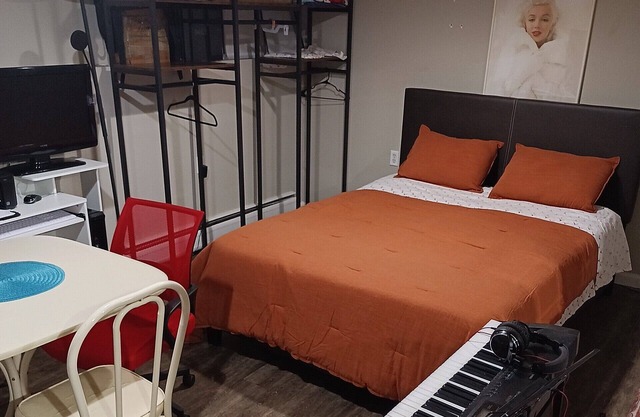 Nice Studio Basement apartment. . FREE PARKING!