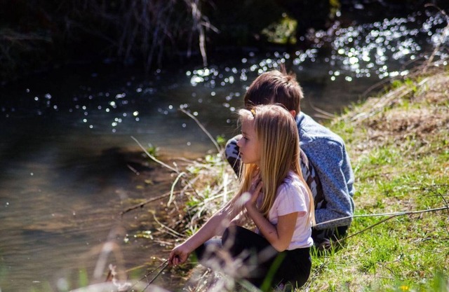 Nice tent lodge on a campsite