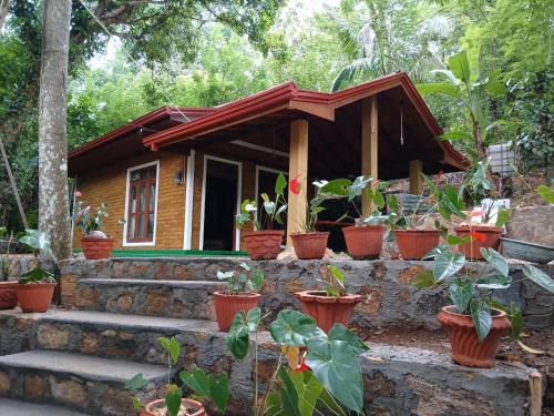 Nildiya mango villa