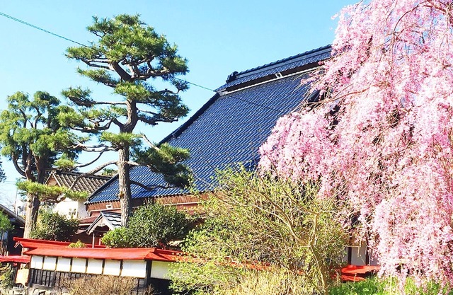 Nonsmokingreserved private space Pets OK Onest/Kyoto Kyōto