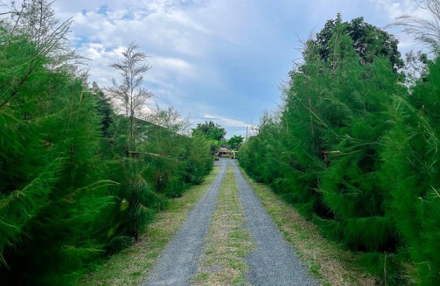 North Pine Forest Homestay บ้านไม้สนโฮมสเตย์
