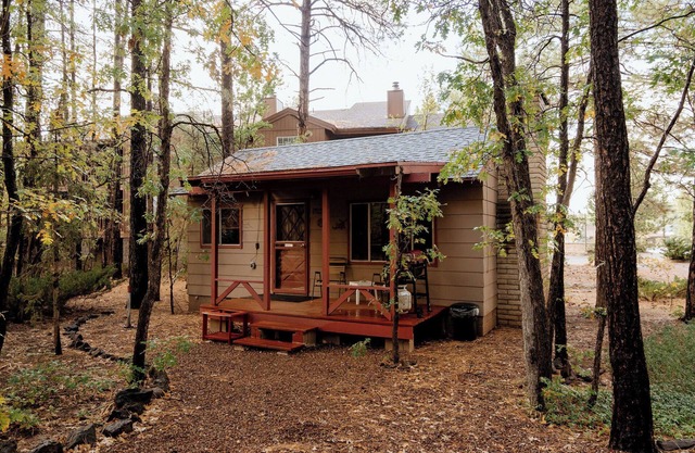 Northwoods (#6) Cabin in the Pines
