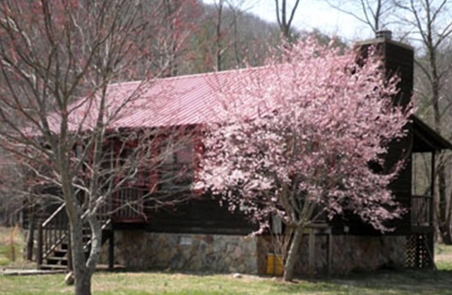 Nottely River Cabin- Fishing-Vogel St. ParknUnion County, GA STR License#004814