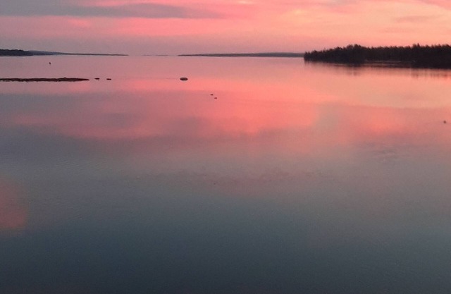 ✮ OCEAN-VIEW, SPACIOUS Apt - Acadia National Park, Bar Harbor, MDI, Ellsworth ✮