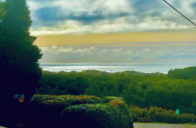 Ocean Views, Sounds & Sunsets, 0.3 walk to Beach - 6beds, sleeps 9, dog friendly