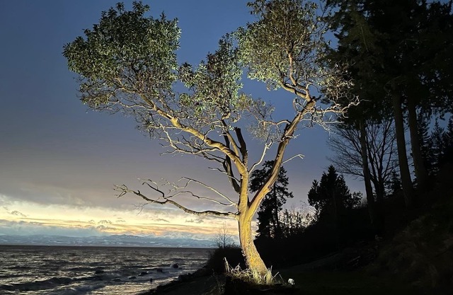 Oceanfront Getaway: Storms, Sauna (add on), Fireplace & Hot Tub (Pet Friendly)