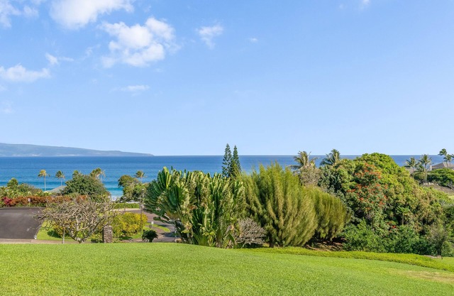 October Fall Deal $225/night-Kapalua Oasis, ac, Ocean views-R414-Sullivan