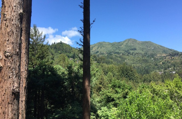 October sale! Beautiful Spacious, Private Mill Valley Home. Stunning view!