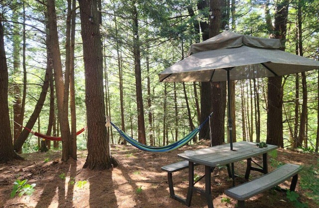 "Oda" Log Cabin with Cedar Hot Tub & Sauna on wood