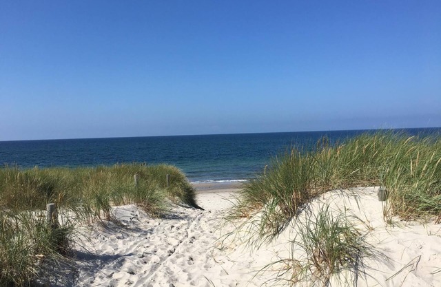 *öddeker, Lidia und Dieter GM 69137 - Holiday apartment in the coastal forest - Baltic Sea SNR: