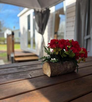 Oléron La Cotinière Camping Nature & Calme, Piscine, Plage à 150m
