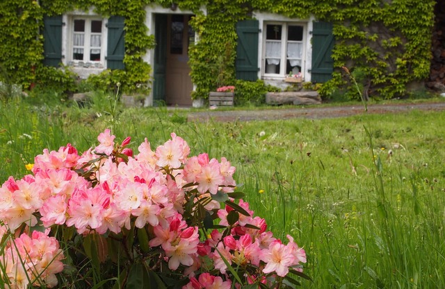 OLD FARM IN BIG PEACE