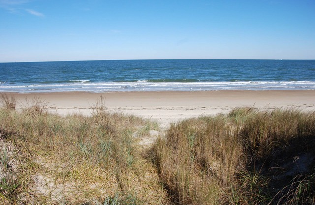 Old Time Beach Front Cottage - The Beach Is Your Backyard! 3 Bedroom Cottage by RedAwning