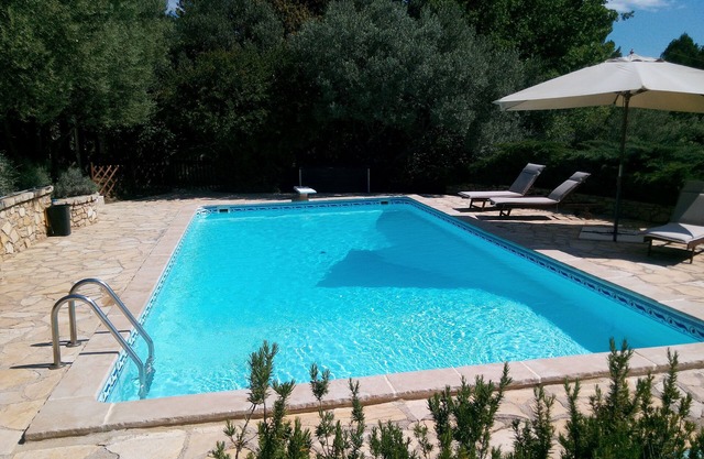 OLIVE TREES IN COTIGNAC (VAR)