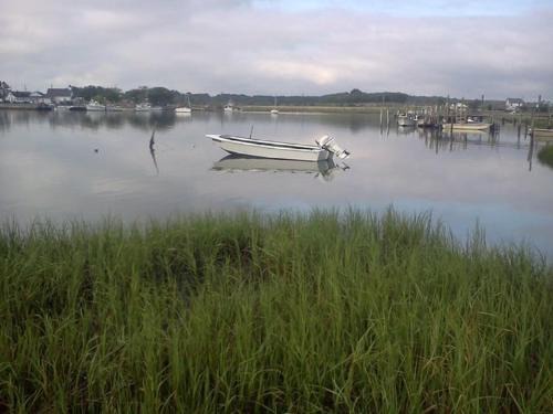 Oyster Cottage in Historic Fishing Village cottage