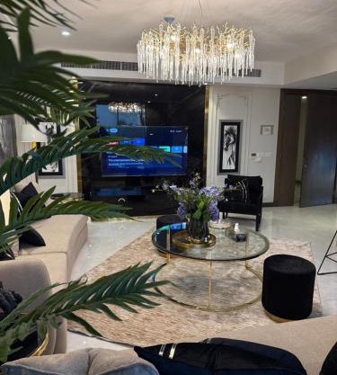 Oyster court gulberg