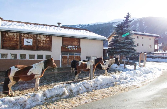 Paclera Hof Agrotourismus