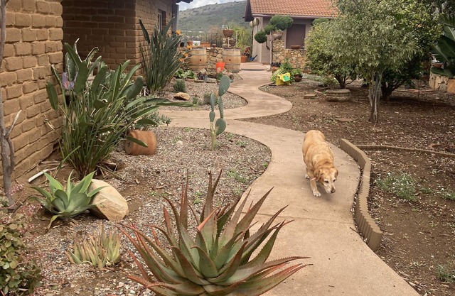 Painted Sky Hacienda