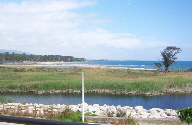 PALMERAIE 31 -1*-SWIMMING POOL IN RESIDENCE - SOLENZARA